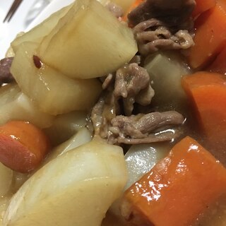 大根、にんじん、豚肉のオイスター煮